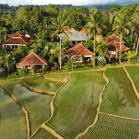 Hotel Sava Eco Retreat Padangan  Exteriér fotografie