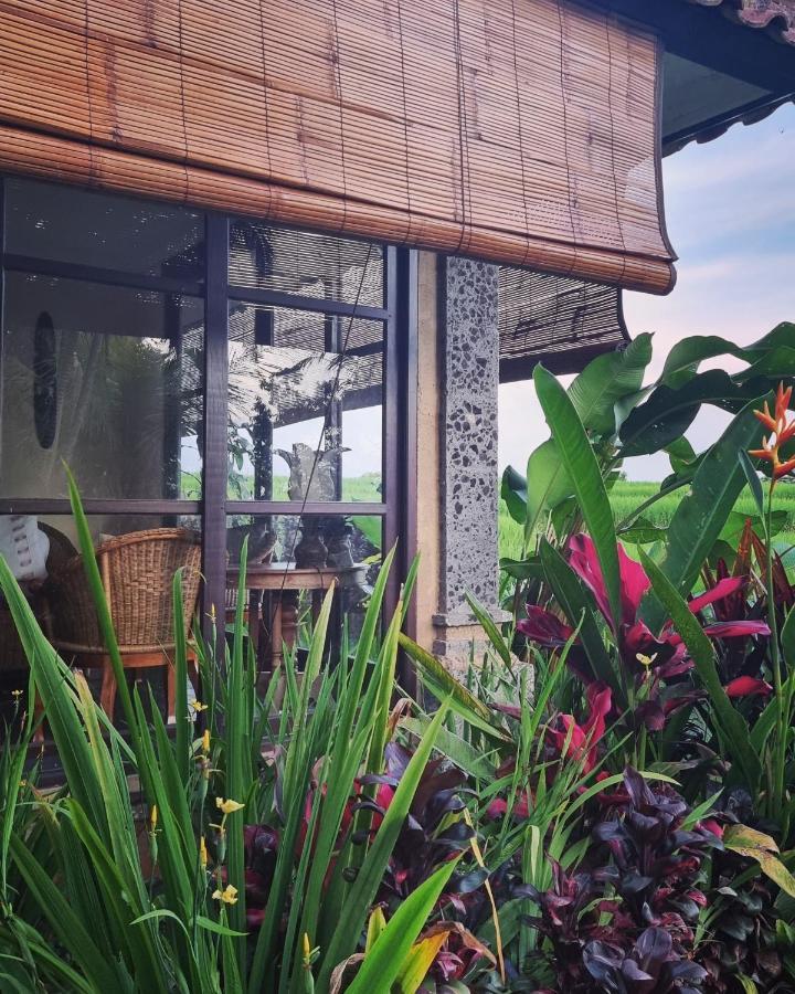 Hotel Sava Eco Retreat Padangan  Exteriér fotografie