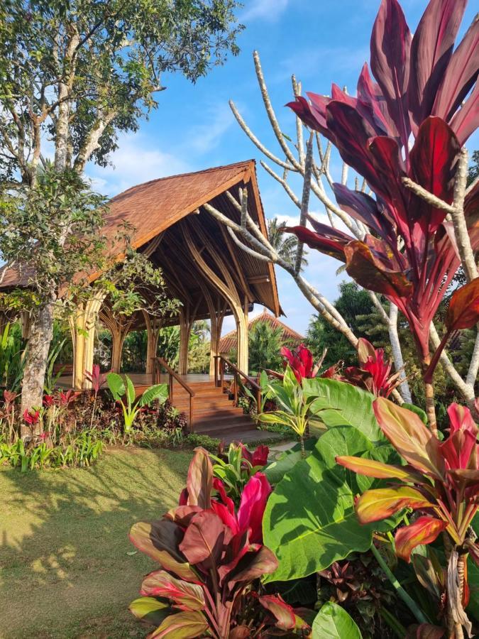 Hotel Sava Eco Retreat Padangan  Exteriér fotografie