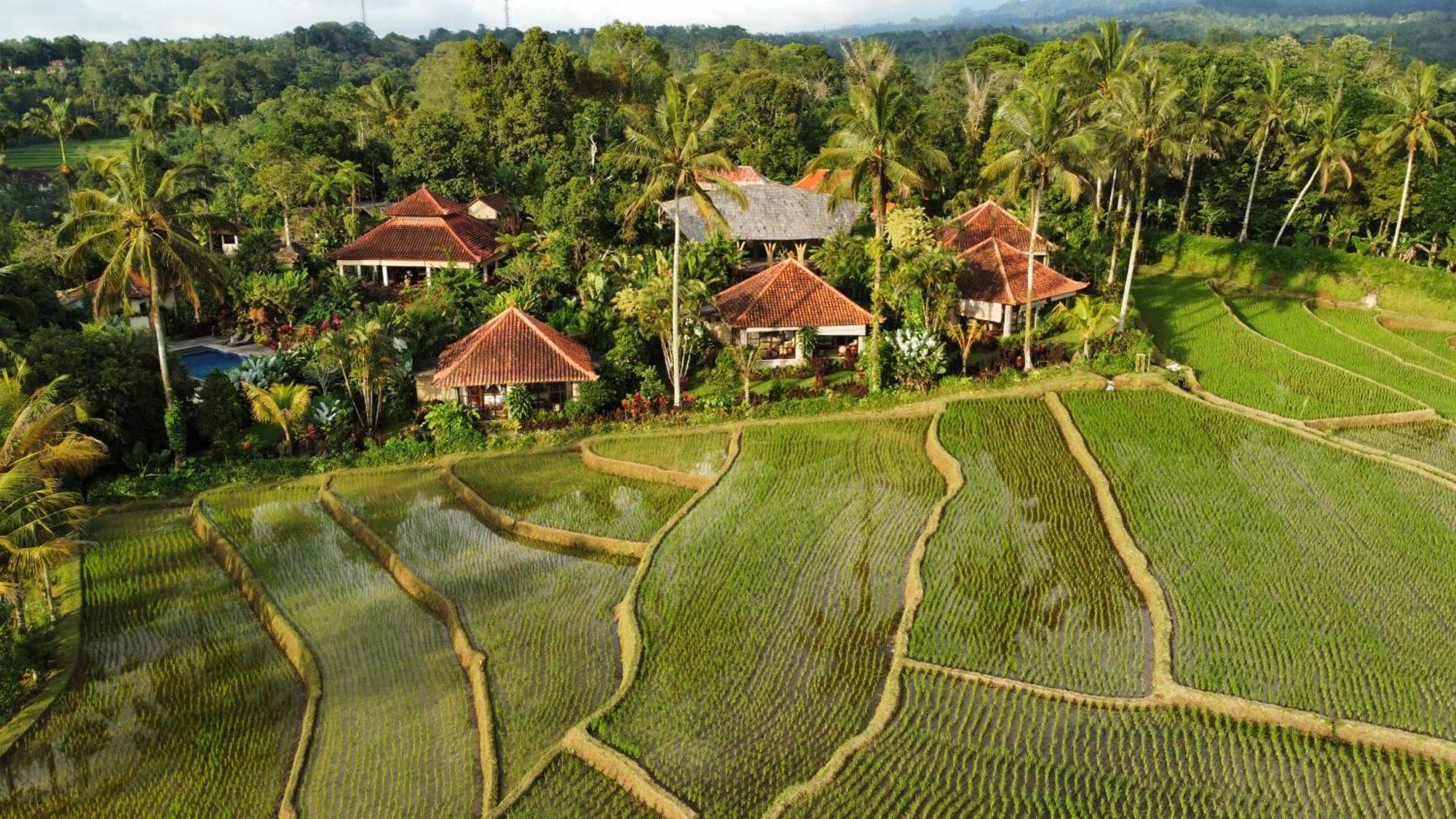 Hotel Sava Eco Retreat Padangan  Exteriér fotografie